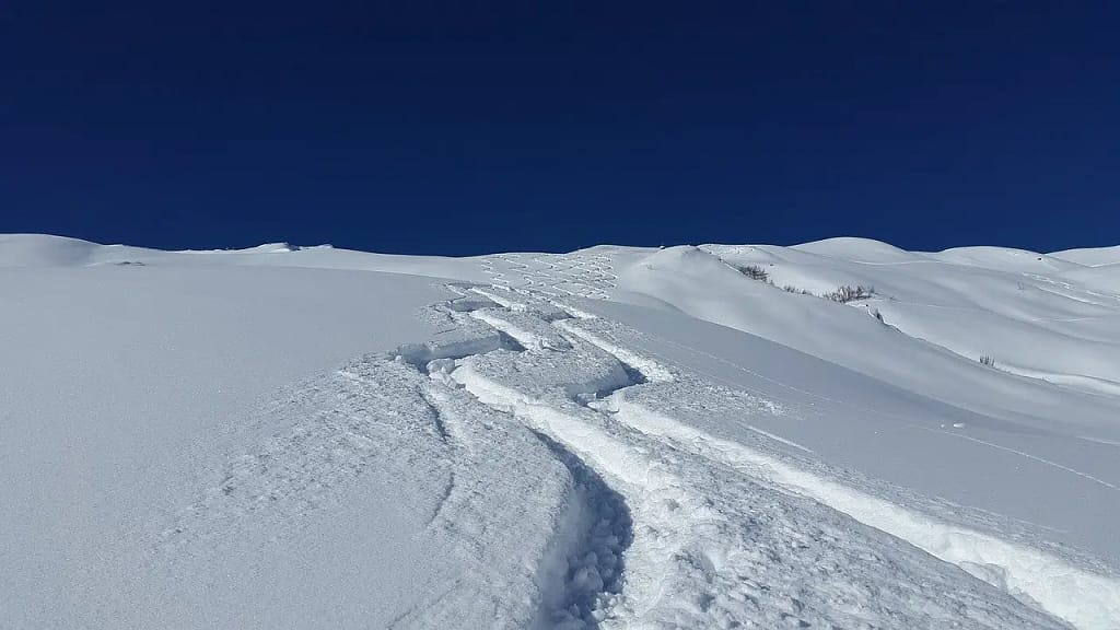 how to ski in powder