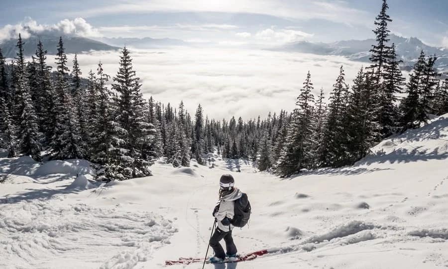 what is freeride skiing