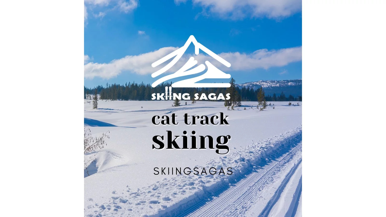 cat track skiing featured